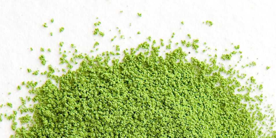 Matcha Powder – Japanese Tea KIMIKURA