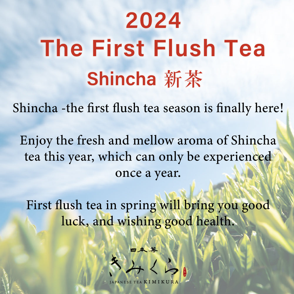 [2024 First Flush] 