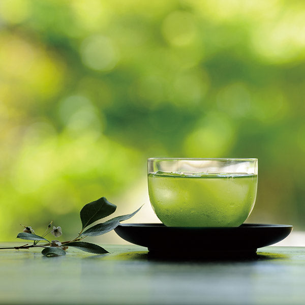 Summer Breeze (Natsu no Kaori Cha) -Deep Steamed Green Tea