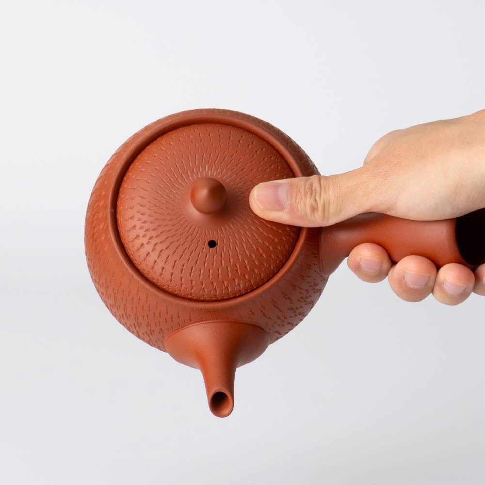 Kyusu Teapot - Tokoname Yaki  [Wrap-around mesh filter]
