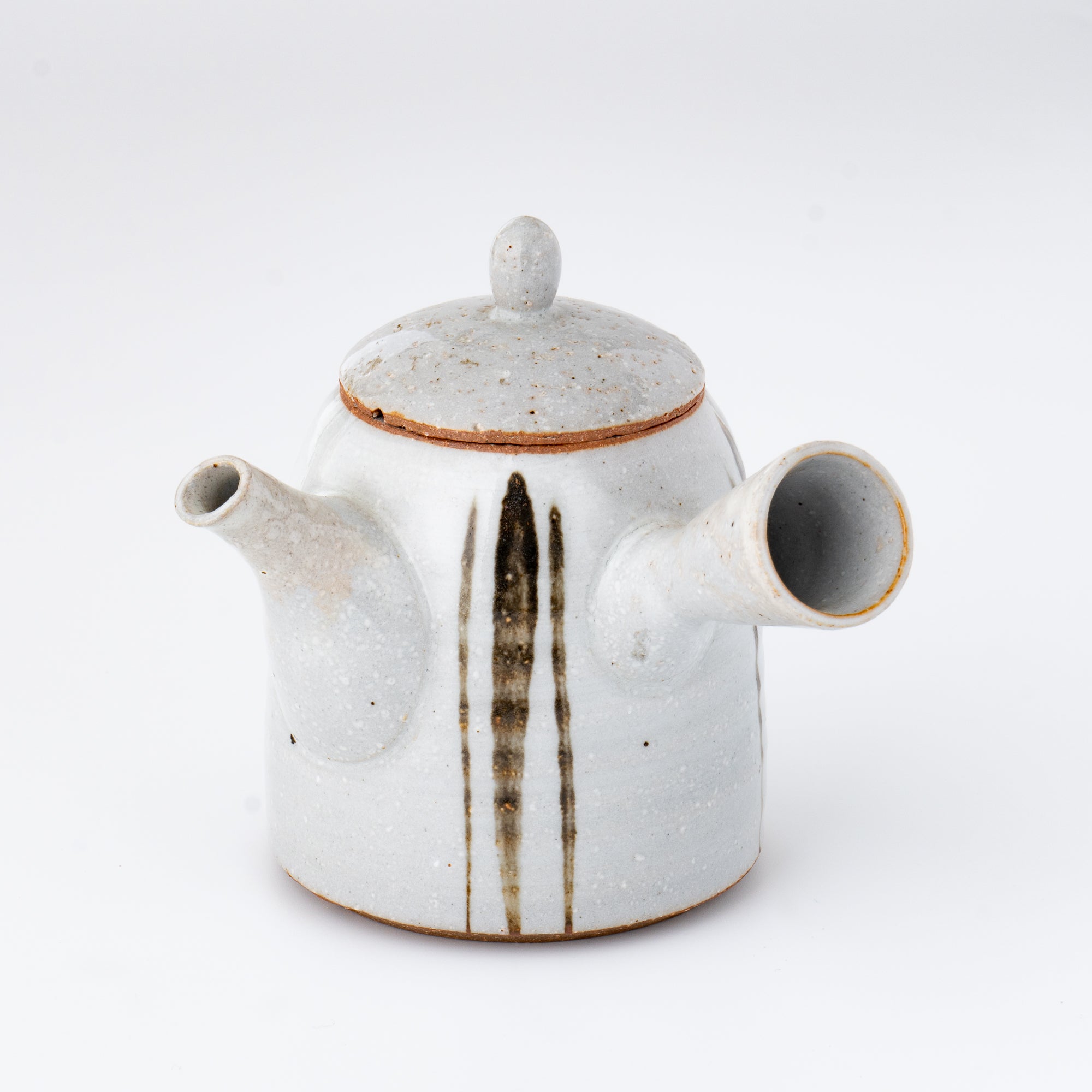 Kyusu Teapot - Tokoname Yaki [Brush line]