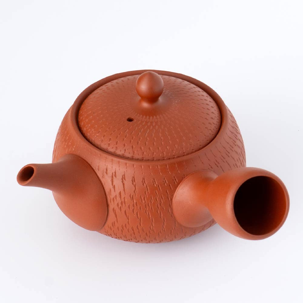 Kyusu Teapot - Tokoname Yaki  [Wrap-around mesh filter]
