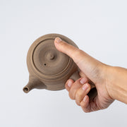 Kyusu Teapot - Tokoname Yaki [Beige color]