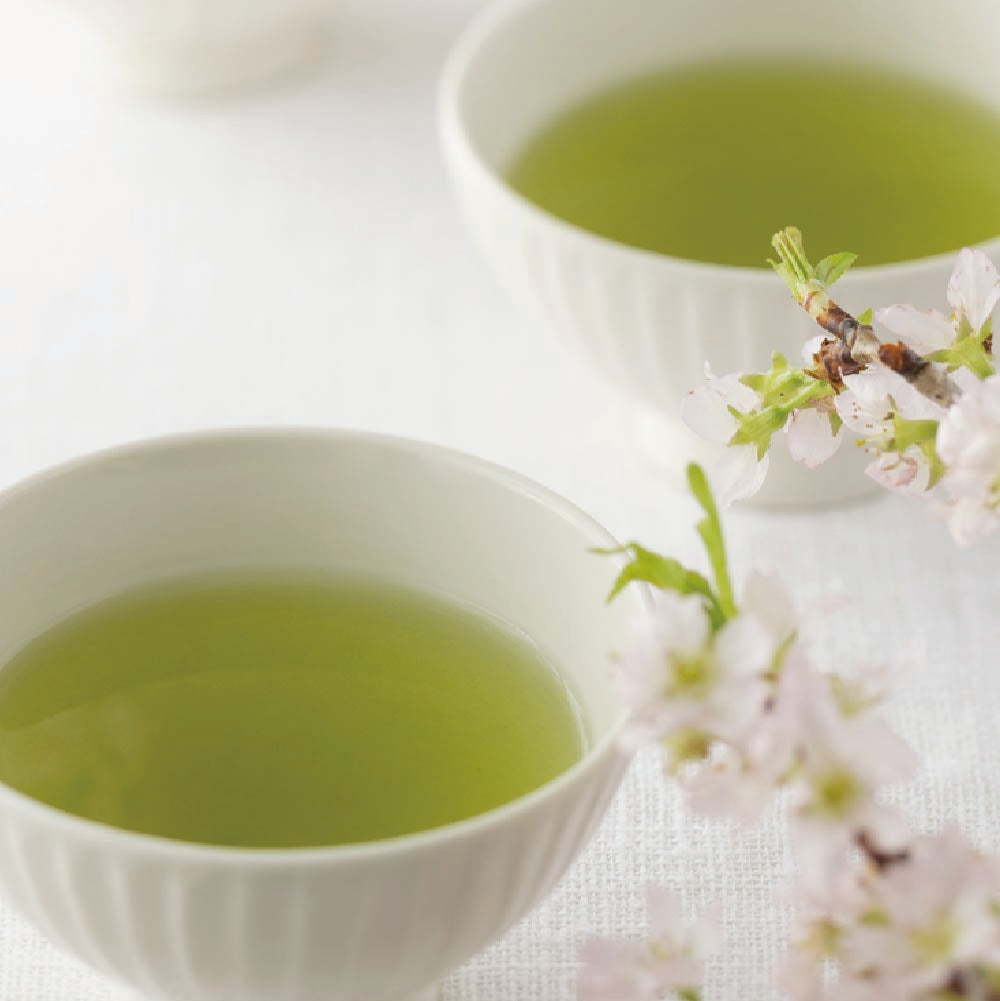 HARUDAYORI 春だより by KIMIKURA -Deep Steamed Green Tea