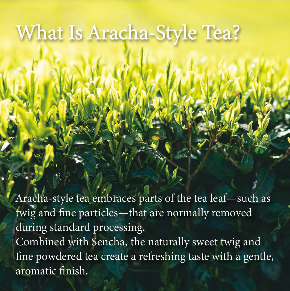 HARUDAYORI 春だより by KIMIKURA -Deep Steamed Green Tea