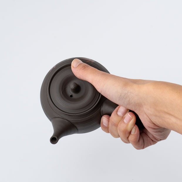 Kyusu Teapot -Tokoname Yaki [Japanese Maple]