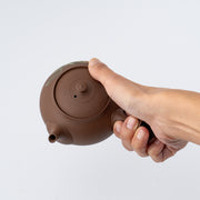 Kyusu Teapot - Tokoname Yaki [Japanese Persimmon]