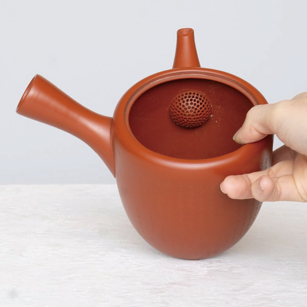 Antique Kyusu Teapot [仏法-Buppo] Large