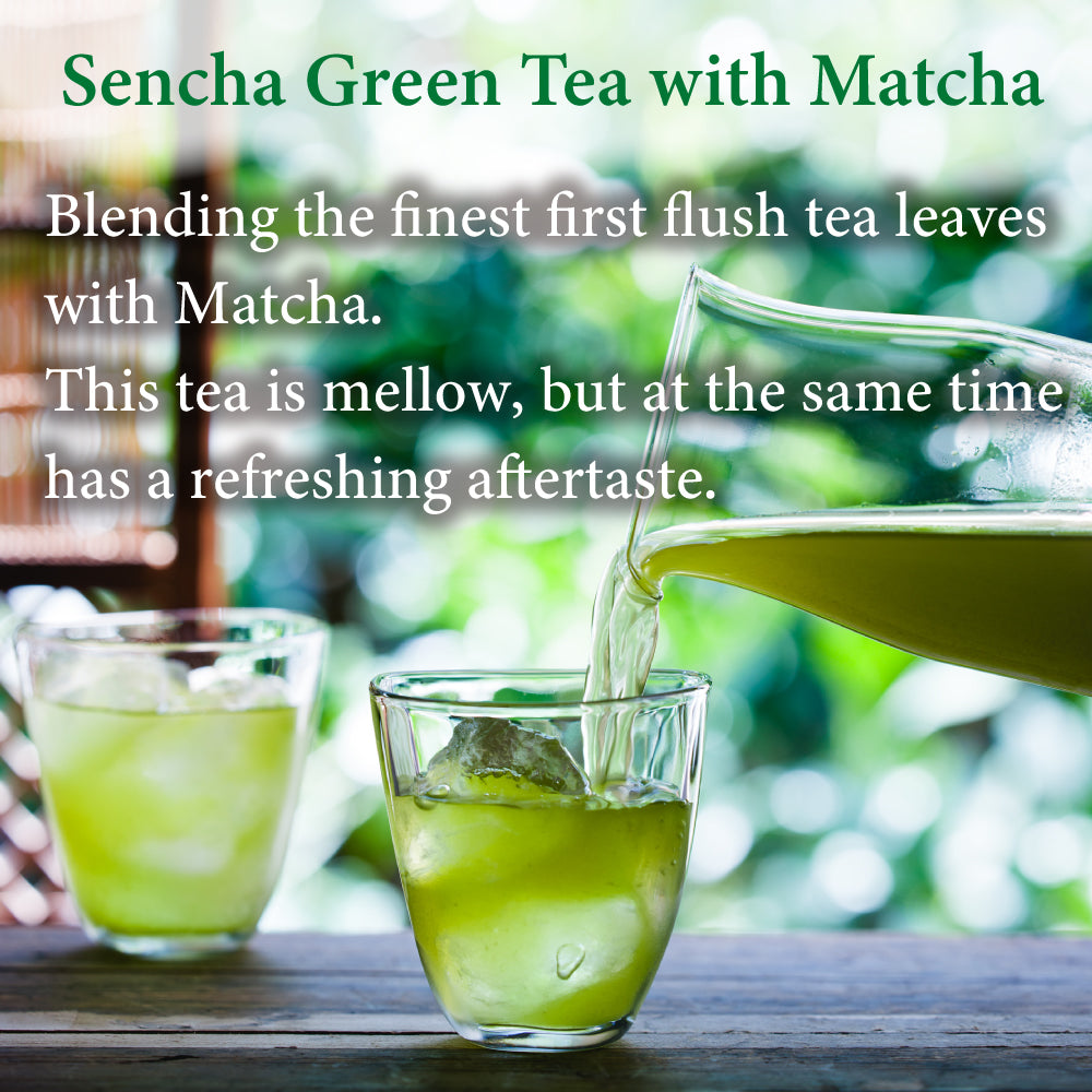 Cold-brew Sencha Green Tea with Matcha Teabags