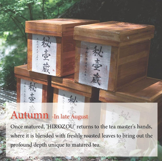 [Autumn-Exclusive] HIKOZOU 秘壷蔵-Deep Steamed Green Tea