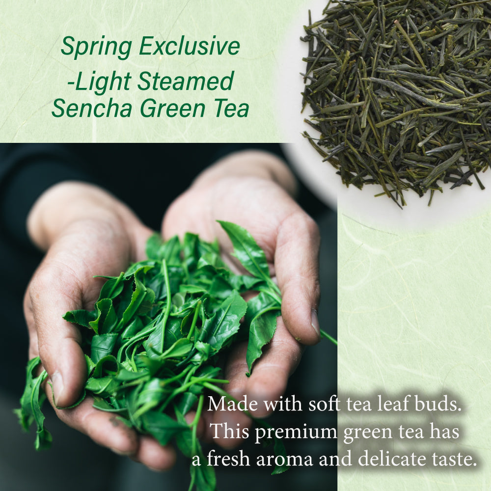 First Flush] Spring-exclusive Premium Sencha Green Tea 70g