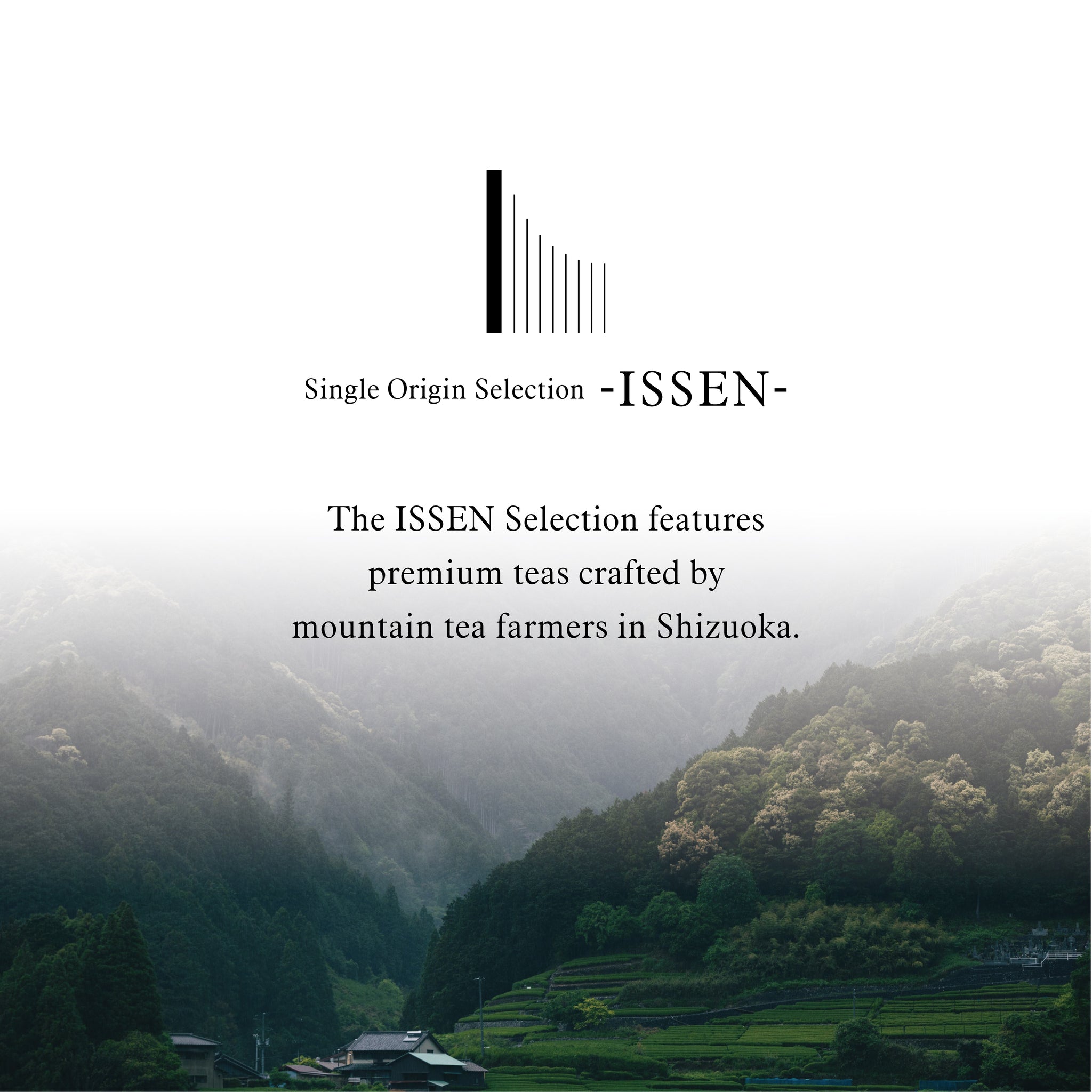 ISSEN Single Origin Premium Sencha -Koshun cultivar 30g(1oz) by Osamu Matsumoto