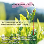 [2024 First Flush] Hatsuzumi First Picking -Deep Steamed Green Tea 100g/3.5oz