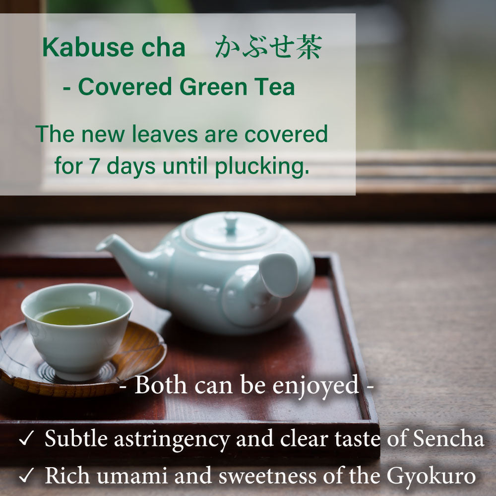 [Combo] Organic Sencha Green Tea -YABUKITA & OKUMIDORI