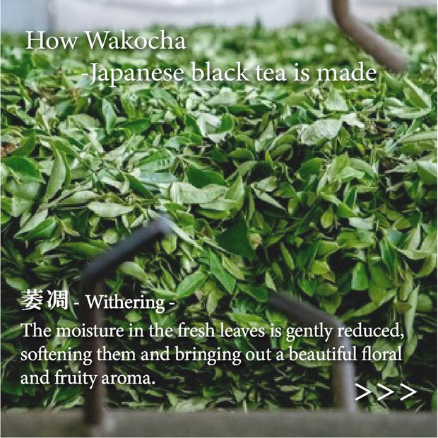 Japanese Black Tea Wakocha Powder