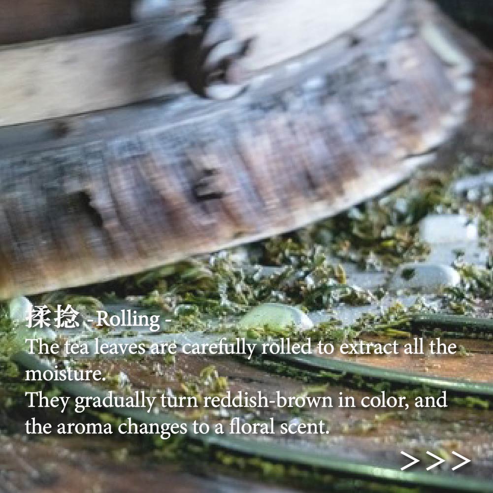 Japanese Black Tea Wakocha Powder