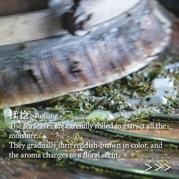 Japanese Black Tea Wakocha Powder