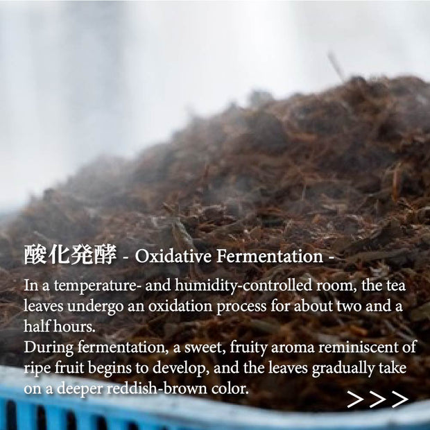 Japanese Black Tea Wakocha Powder