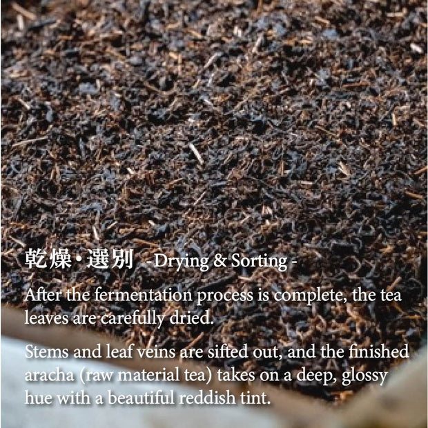 Japanese Black Tea Wakocha Powder