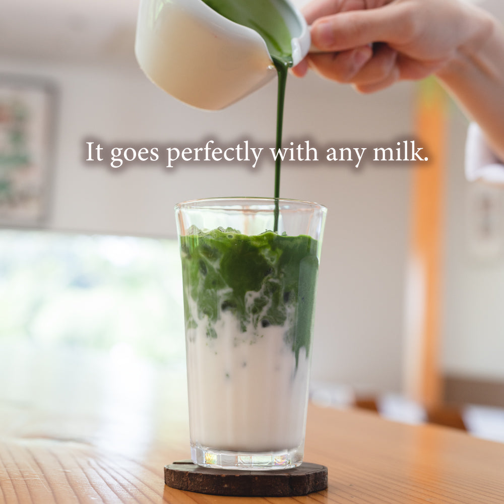 Matcha Green Tea Shizuoka 静岡 [Classic Culinary]