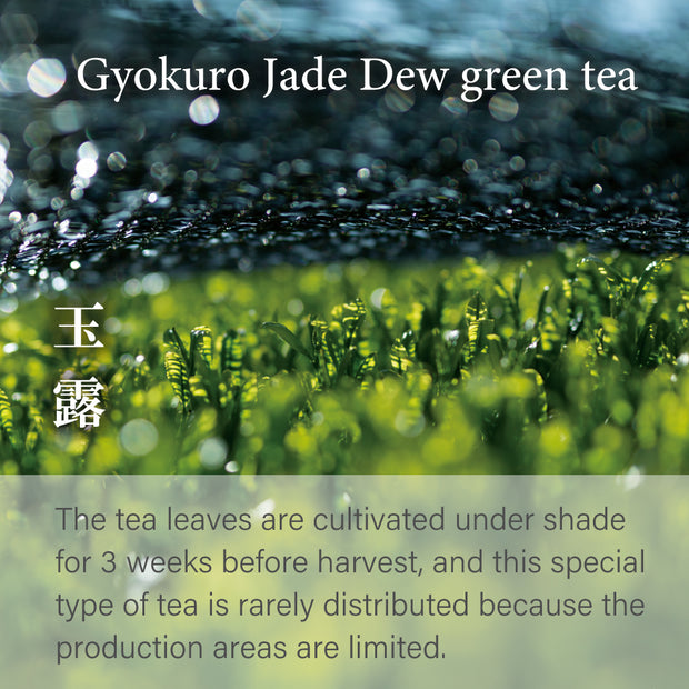 Premium Gyokuro Green Tea -Yame, Fukuoka