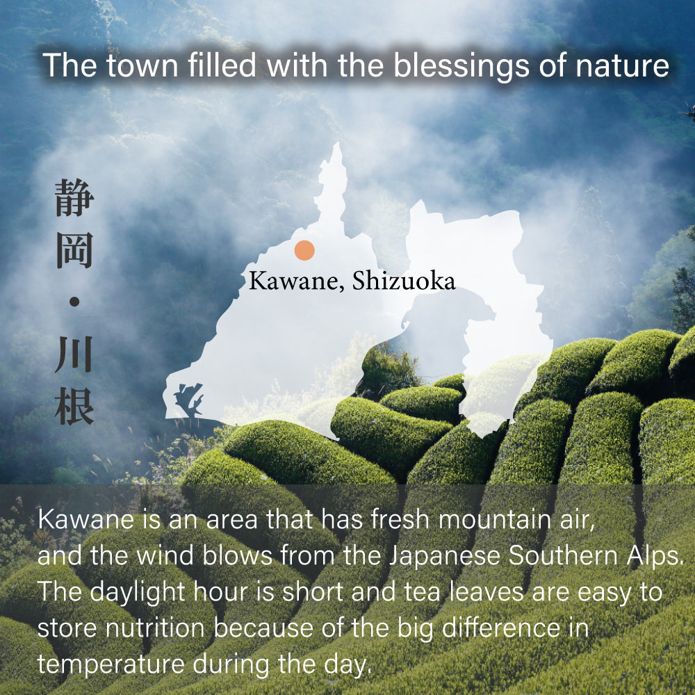 Sencha Green Tea -Kawane, Shizuoka