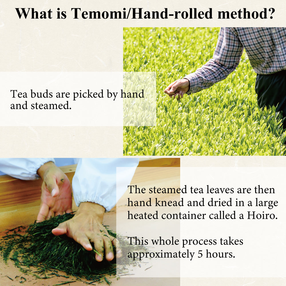TEMOMI CHA てもみ茶 / Hand-rolled green tea