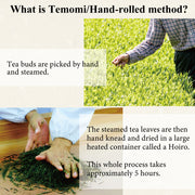 Temomi-cha / Hand-rolled green tea