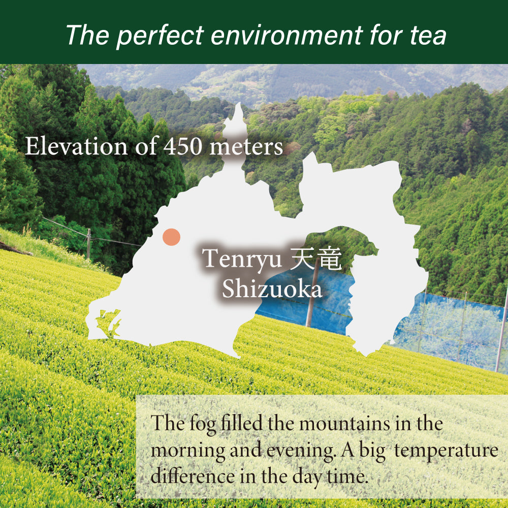 ISSEN Single Origin Premium Sencha Yabukita cultivar 30g(1oz) by Masataka Ohta