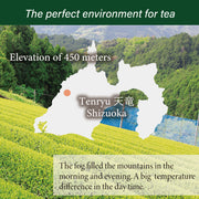 Premium Sencha Yabukita cultivar 30g(1oz) made by Mr.Ohta