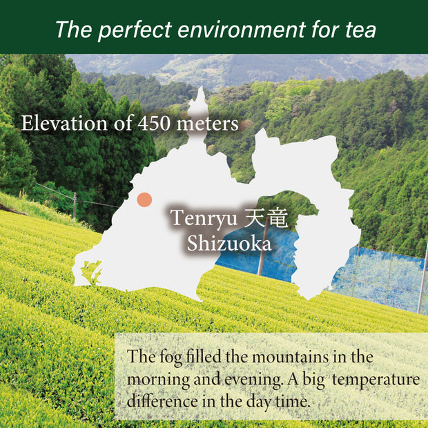 Premium Sencha Yabukita cultivar 30g(1oz) made by Mr.Ohta