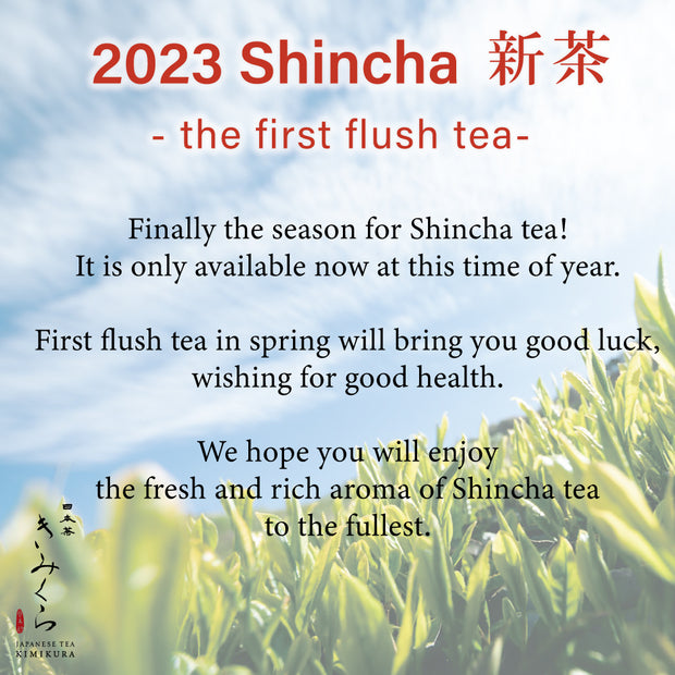 [2023 Shincha] Tsuyuhikari cultivar -Deep Steamed Green Tea by Mr.Utsumi