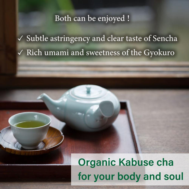 Organic Kabusecha Green Tea -Okumidori cultivar