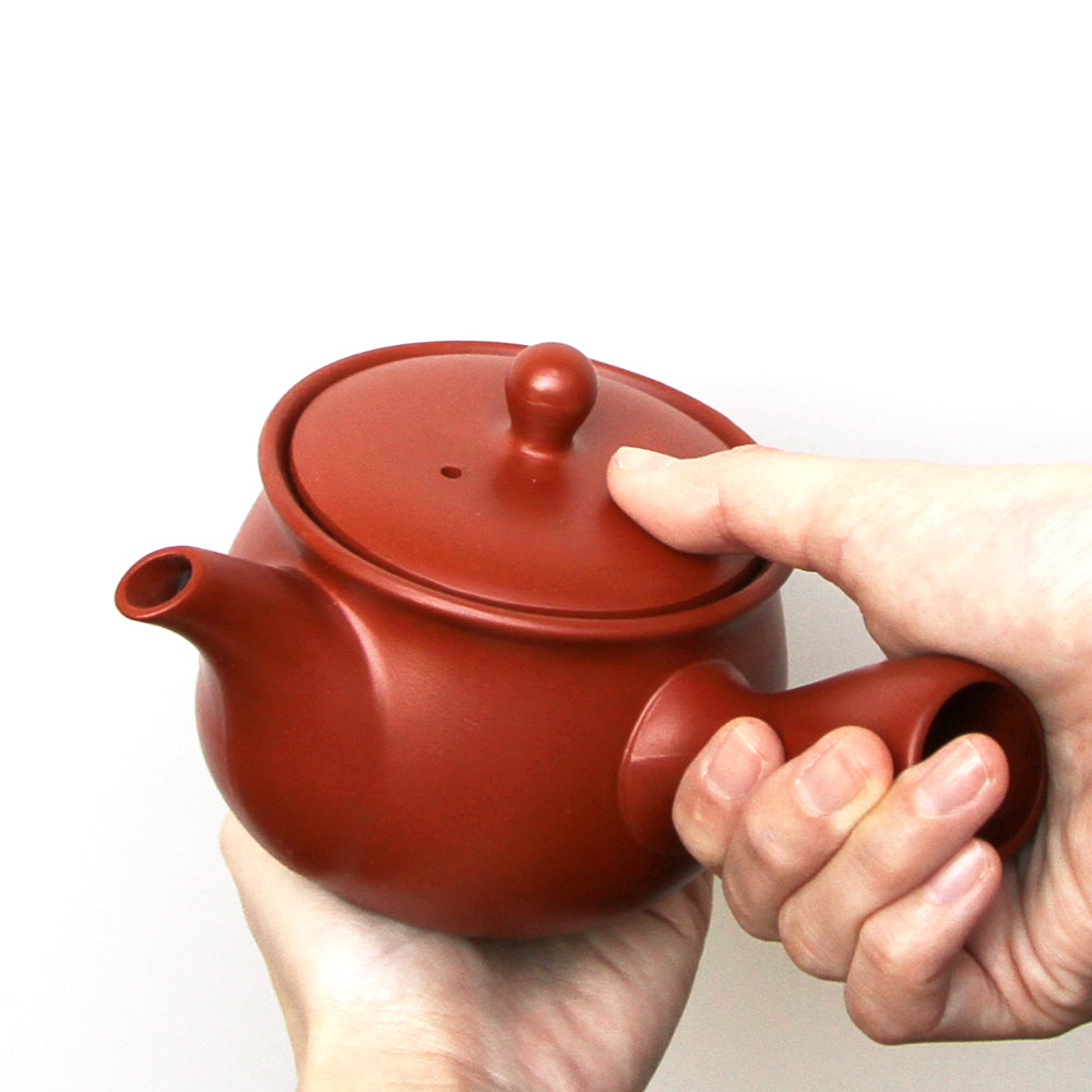 Kyusu Teapot [Carving / Removable filter]