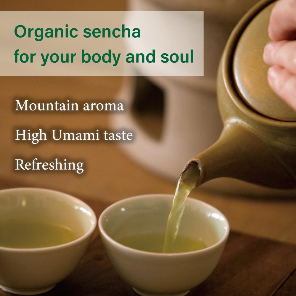 Organic Sencha Green Tea -Yabukita cultivar